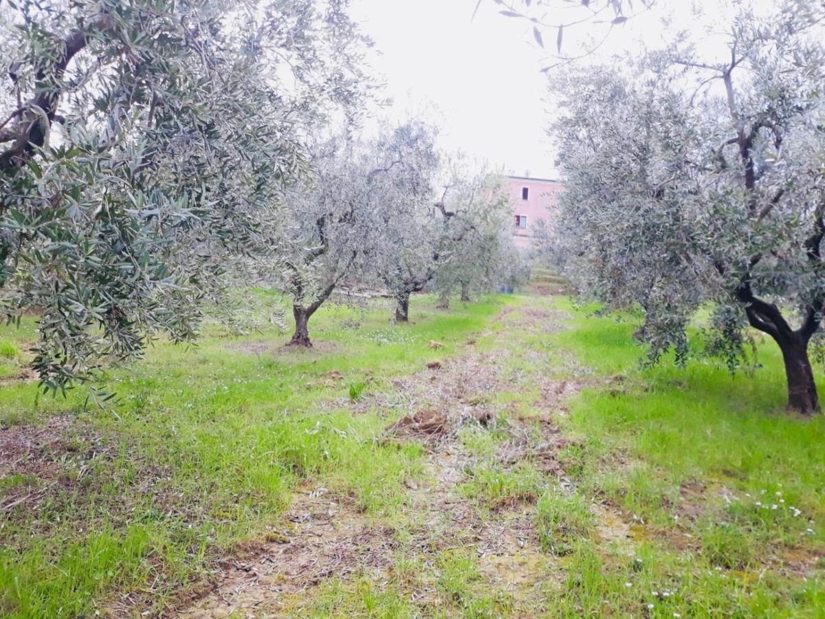 Ellebi B&B Montone  Exterior photo